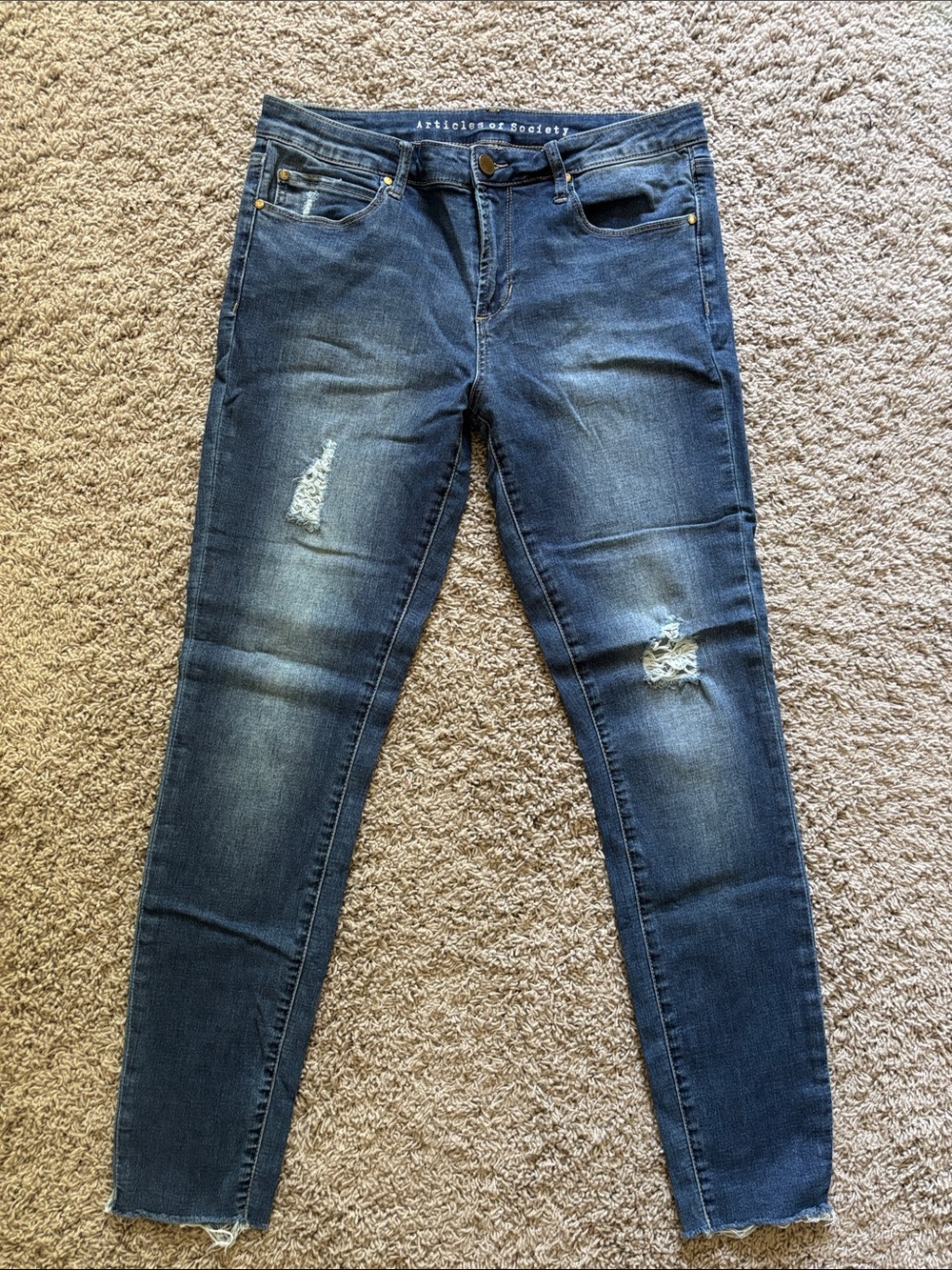 Articles Of Society Indigo Ripped Frayed Hem Jeans - Picture 2 of 16